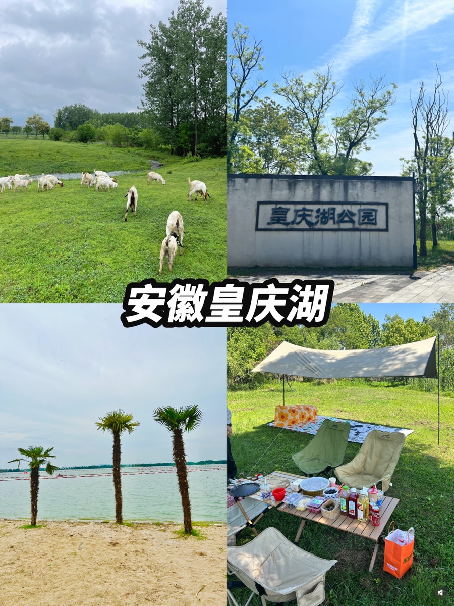 南京周边团建基地推荐（苏家 / 玄武湖 / 金牛湖 / 莫干山）｜南京团建攻略配图