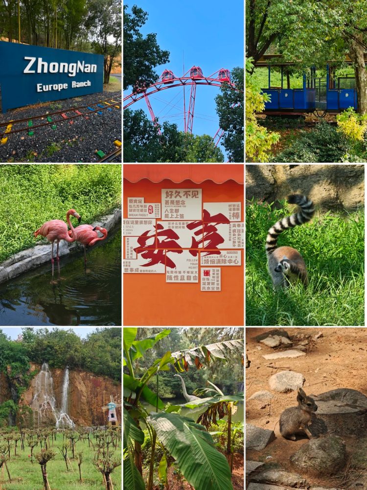 浙江安吉｜周边团建场地实拍